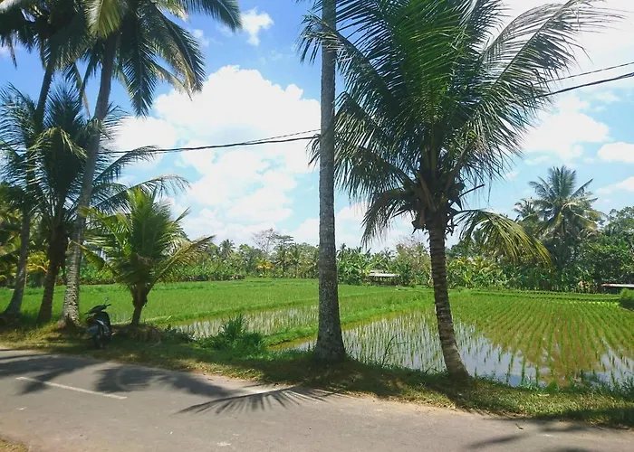 Lodge Kusuma Ubud 1 Bed *