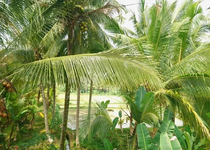 Lodge Kusuma Ubud 1 Bed