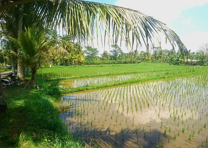 Kusuma Ubud 1 Bed Lodge